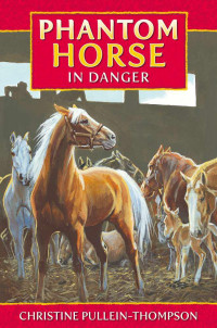 Christine Pullein-Thompson — Phantom Horse 4: In Danger