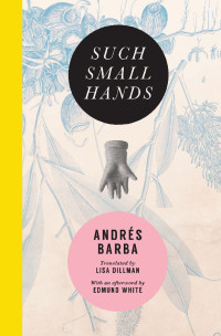 Andrés Barba, Lisa Dillman (translation), Edmund White (afterword) — Such Small Hands