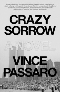 Vince Passaro — Crazy Sorrow