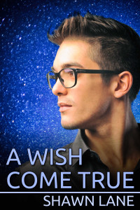 Shawn Lane — A Wish Come True
