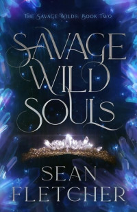 Sean Fletcher — Savage Wild Souls (The Savage Wilds Book 2)