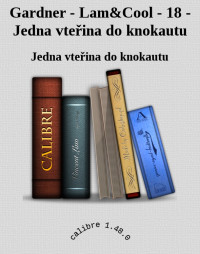 Jedna vteřina do knokautu — Gardner - Lam&Cool - 18 - Jedna vteřina do knokautu