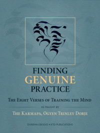 The Karmapa — Finding Genuine Practice