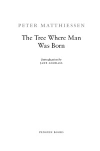 Peter Matthiessen & Jane Goodall — The Tree Where Man Was Born