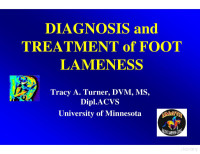 coll — Diagnosis and Treatment of Foot Lameness.