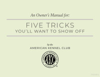 American Kennel Club — 5 Tricks