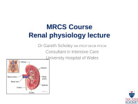 margred — MRCS Renal physiology lecture