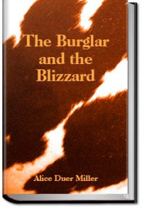 Alice Duer Miller — The Burglar and the Blizzard: a Christmas story