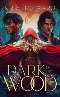 Ward, Kristin — Dark is the Wood: A Young Adult Fantasy Romance (Enchanted Tales with Dragon Scales Book 1)