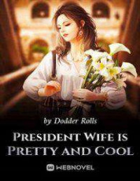 Dodder Rolls — President Wife Is Pretty And Cool c1-553