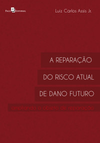 Luiz Carlos de Assis Jnior; — A reparao do risco atual de dano futuro