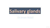 Iman Nabil — Salivary Glands
