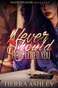 Ashley, Tierra [Ashley, Tierra] — Never Should Have Loved You