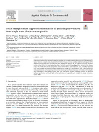 Dewen Wang — Nickel metaphosphate supported ruthenium for all pH hydrogen evolution: From single atom, cluster to nanoparticle