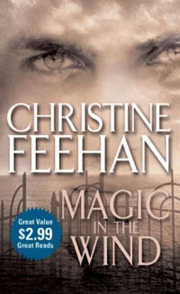 Christine Feehan [Feehan, Christine] — Magic in the Wind