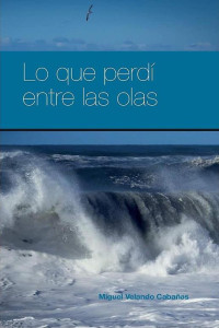 Miguel Velando Cabañas — Lo que perdí entre las olas