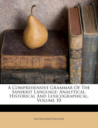 Anundoram Borooah — A Comprehensive Grammar of the Sanskrit Language: Analytical, Historical and Lexicographical, Volume 10