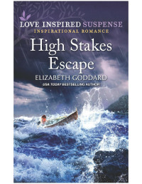Elizabeth Goddard — High Stakes Escape