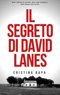 Cristina Raya — Il segreto di David Lanes: La Trilogia del segreto (Vol. 1) (Italian Edition)