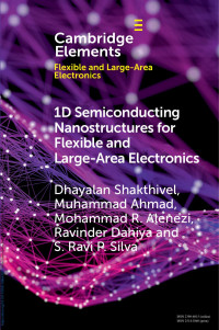 Dhayalan Shakthivel, Muhammad Ahmad, Mohammad R. Alenezi, Ravinder Dahiya & S. Ravi P. Silva — 1D Semiconducting Nanostructures for Flexible and Large-Area Electronics