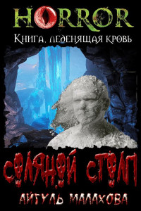 Айгуль Малахова — Соляной столп. Расследование админа