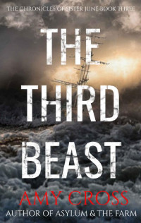 Amy Cross — The Third Beast (The Chronicles of Sister June Book 3)