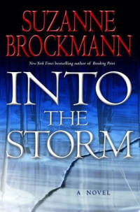 Suzanne Brockmann [Brockmann, Suzanne] — Into the Storm