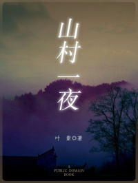 叶紫 著 — 山村一夜