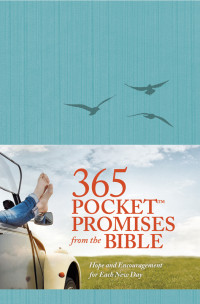 Beers, Ronald A., Mason, Amy E. & Amy E. Mason — 365 Pocket Promises From the Bible