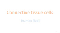 Iman Nabil — Connective tissue cells