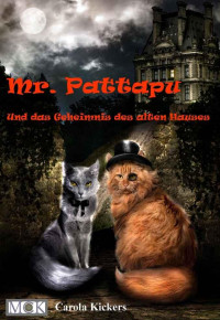 Kickers, Carola — Mr. Pattapu und das Geheimnis des alten Hauses