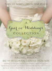 Denise Hunter;Deborah Raney;Betsy St. Amant;Rachel Hauck;Lenora Worth;Meg Moseley;Marybeth Whalen;Beth Wiseman;Debra Clopton;Kathryn Springer;Katie Ganshert;Beth K. Vogt; — A Year of Weddings