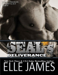 Elle James [James, Elle] — SEAL's Deliverance (Take No Prisoners Book 9)