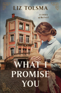 Liz Tolsma — What I Promise You