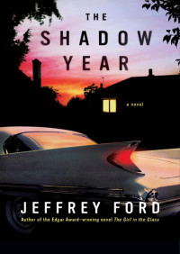 Jeffrey Ford — The Shadow Year