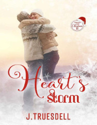 J. Truesdell — Heart's Storm (Forever Safe Christmas II Book 17)