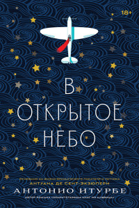 Антонио Итурбе — В открытое небо (основано на жизни французского писателя и летчика Антуана де Сент-Экзюпери) [litres]