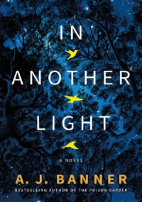 A. J. Banner — In Another Light