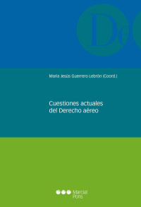 Guerrero Lebrn, Mara Jess; — Cuestiones actuales del derecho areo .