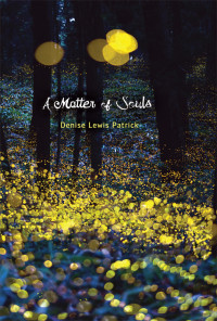 Denise Lewis Patrick — A Matter of Souls