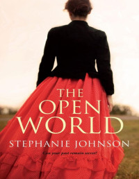 Stephanie Johnson — The Open World