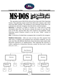 isra1 — نظام التشغيل MS- DOS