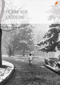 Liliana Veri & Antonio Donato & Guido Mura — L'aquilone (Italian Edition)