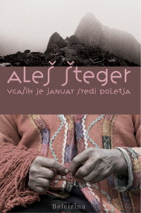 Aleš Šteger — Včasih je januar sredi poletja