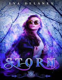 Eva Delaney & Silver Springs Library — Storm: A paranormal romantic comedy (Silver Skates Book 5)