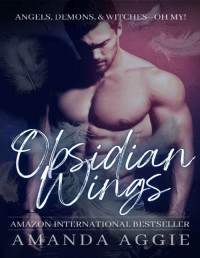 Amanda Aggie — Obsidian Wings: A Steamy Paranormal Romantic Comedy (The Otherworldly Book 1)