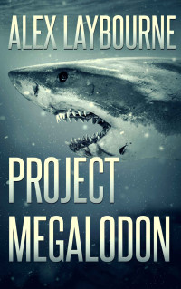 Alex Laybourne — Project Megalodon