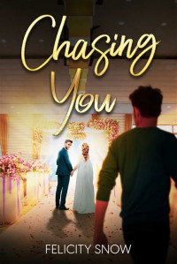 Nicolas Louise — Chasing You (French edition)