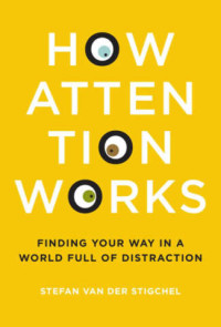 Stefan Van der Stigchel — How Attention Works: Finding Your Way in a World Full of Distraction