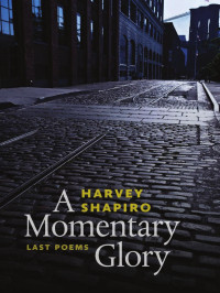 Harvey Shapiro — A Momentary Glory